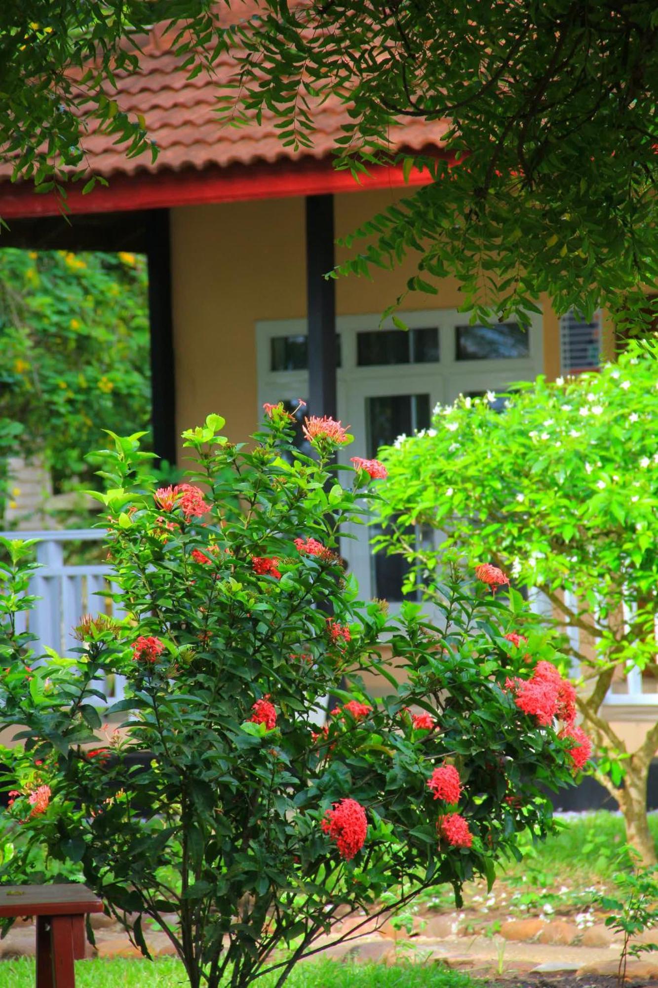 Charlestina Beach Resort Ampeni Екстериор снимка